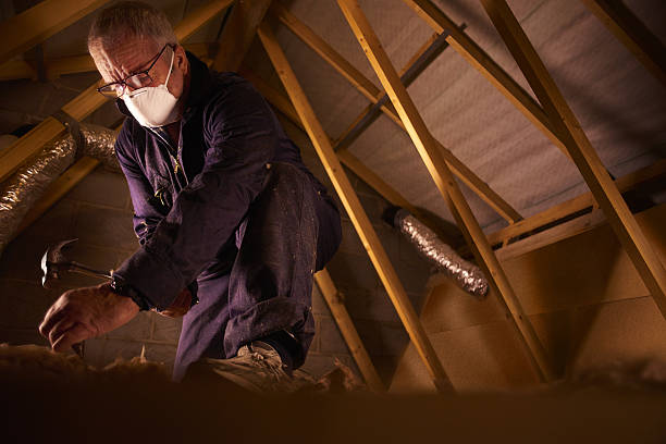 Best Specialty Insulation in Sterling, GA